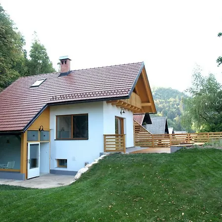 Forest Edge